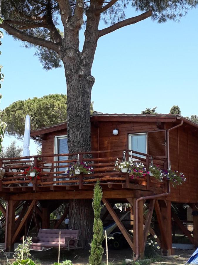 Villa Il Vivaio Tarquinia Exterior foto