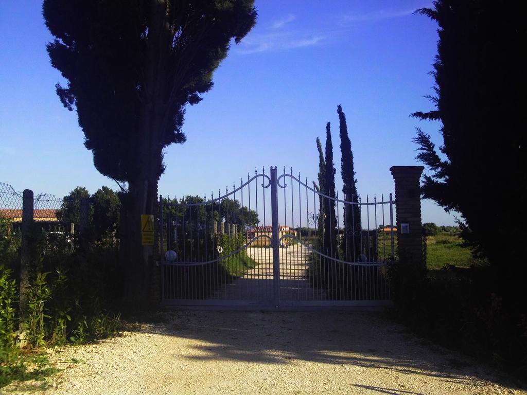 Villa Il Vivaio Tarquinia Zimmer foto