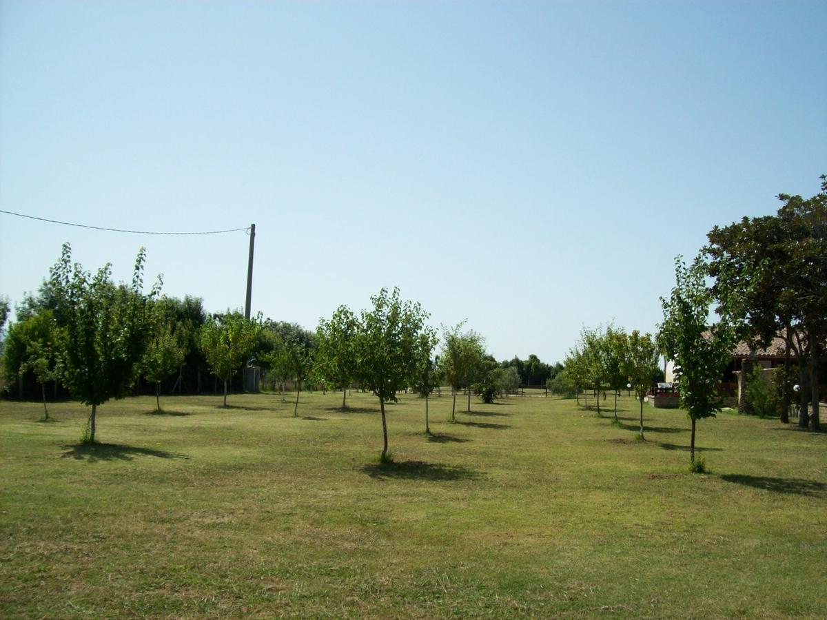 Villa Il Vivaio Tarquinia Exterior foto
